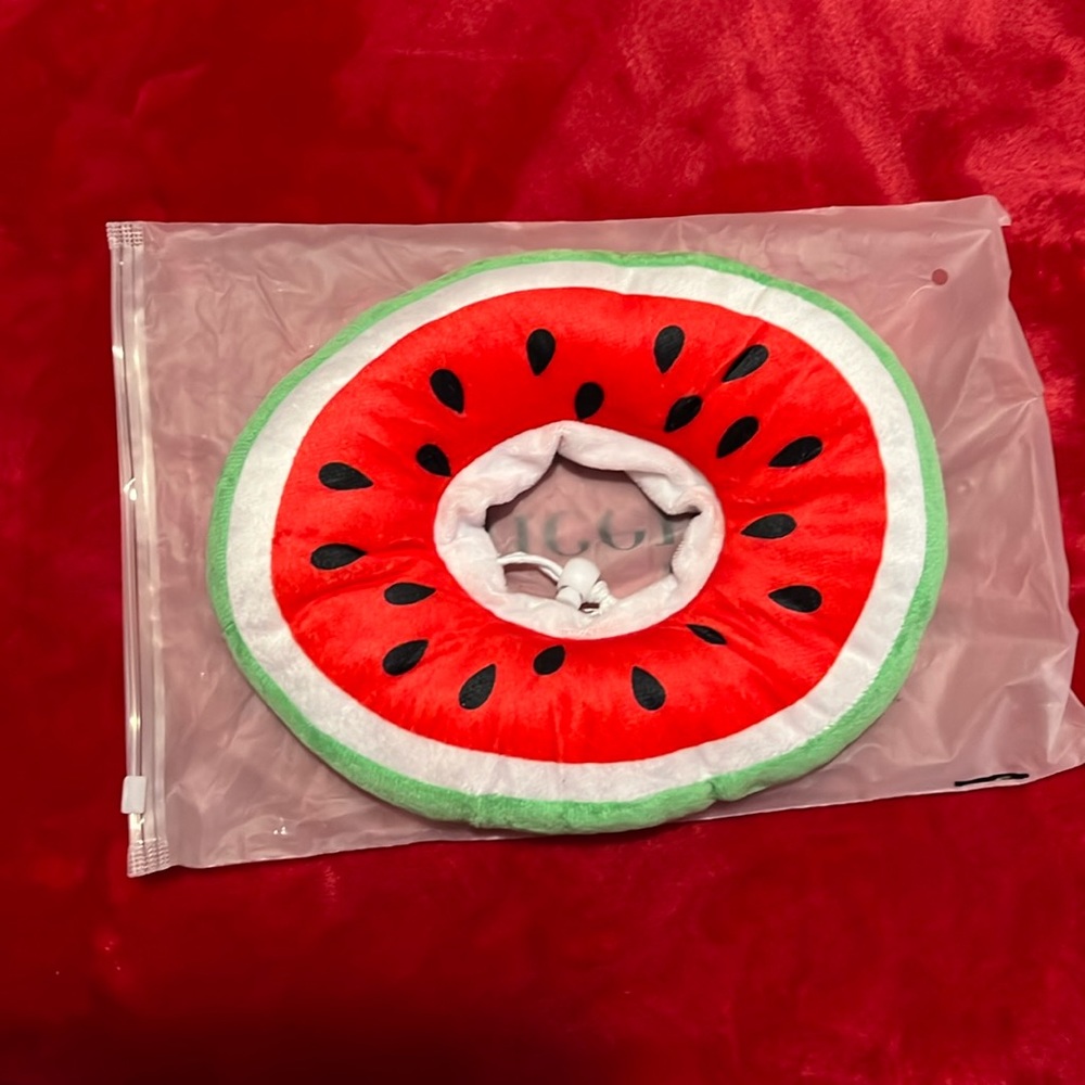 Watermellow soft donut cone for dogs or cat
